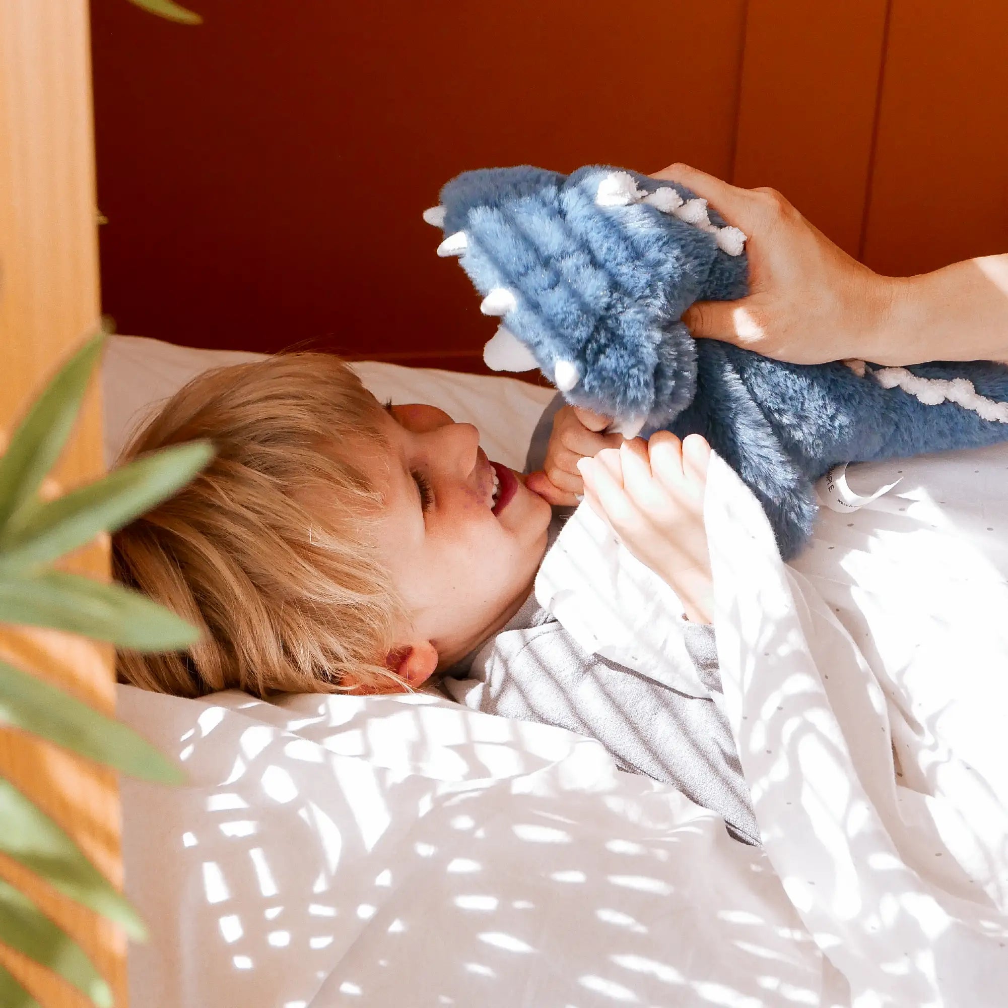 Triceratops Dino Soft Toy - Pre-Order