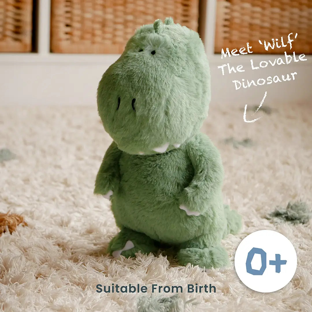 T-Rex gift set - Gender neutral baby gift set