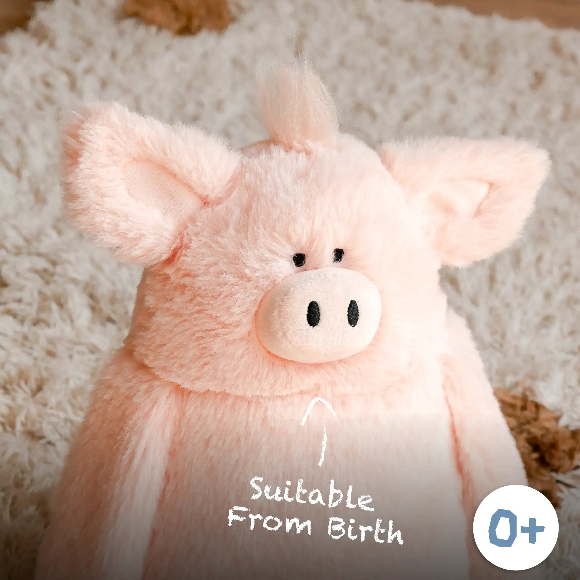 Pig Soft Toy - Pre-Order