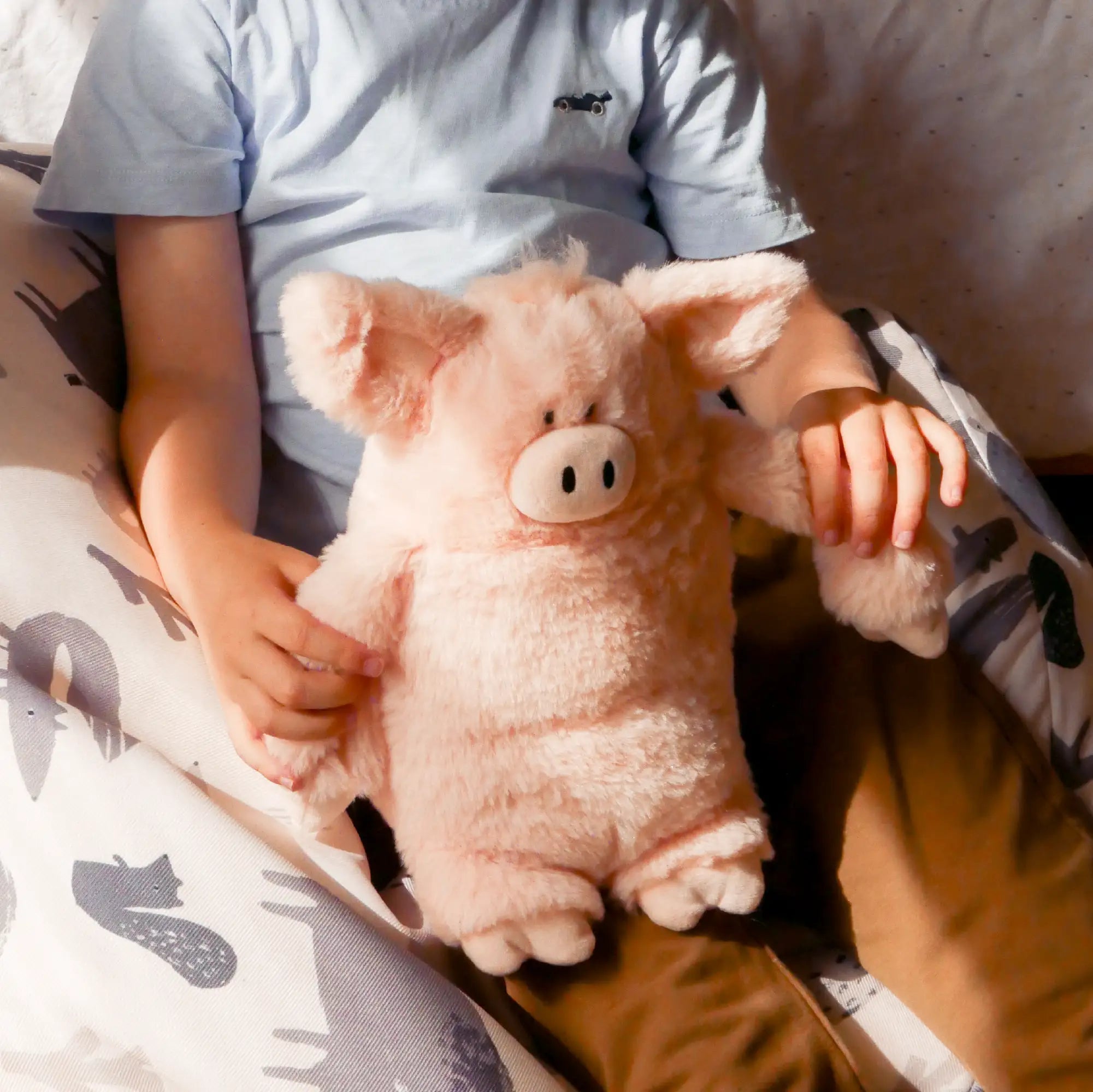 Pig Soft Toy - Pre-Order