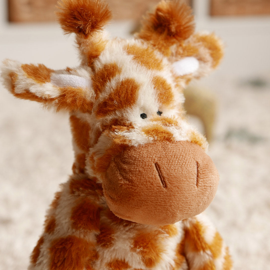 Close up of giraffe teddy