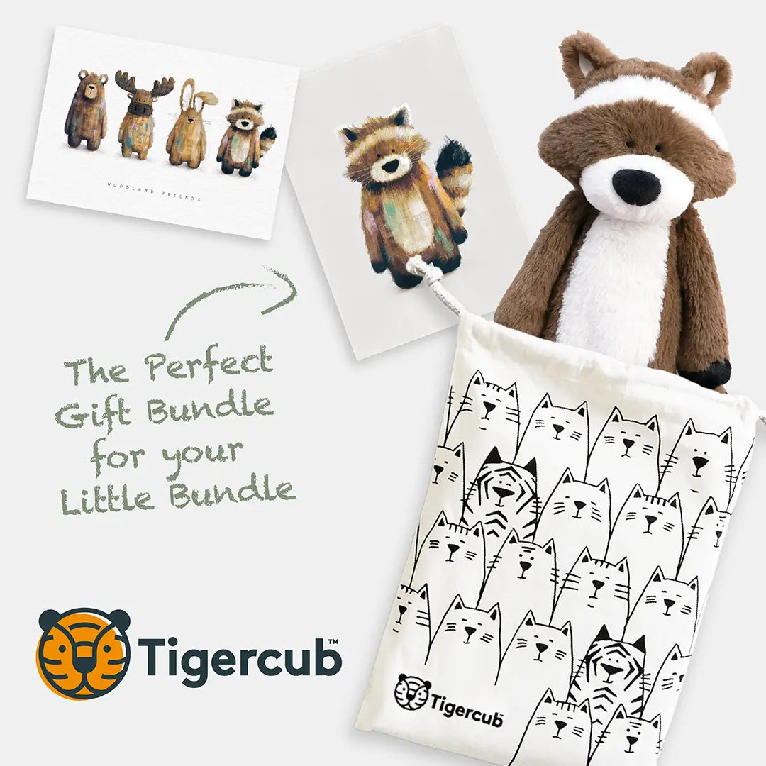 Raccoon gift set - Gender neutral baby gift set