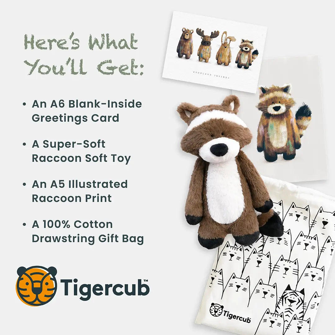 Raccoon gift set - Gender neutral baby gift set