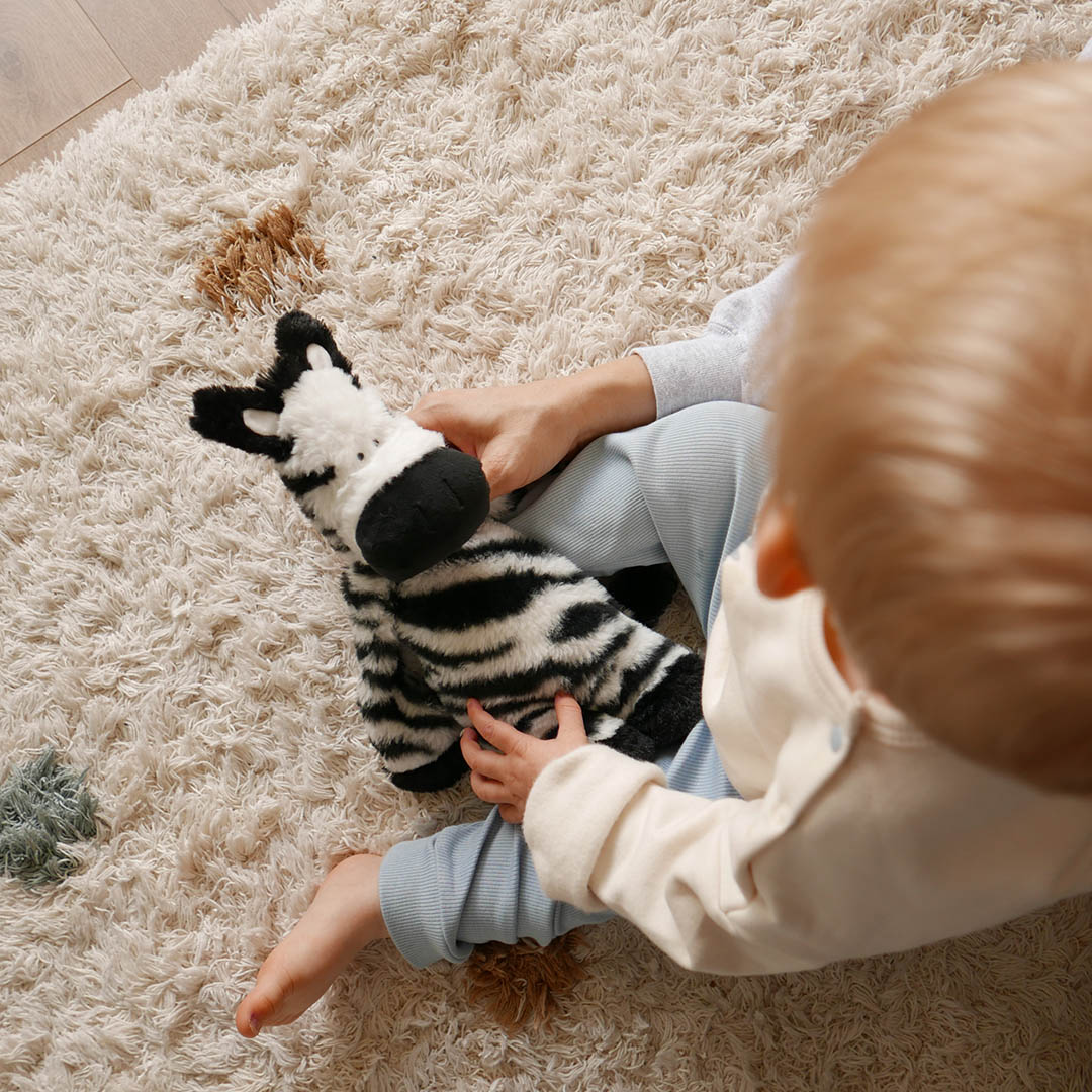 Baby holding zebra teddy